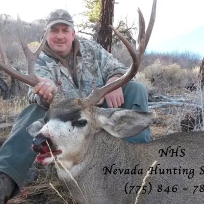 Nevada Hunting Services