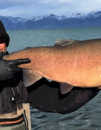 Pyramid Lake Fly Fishing