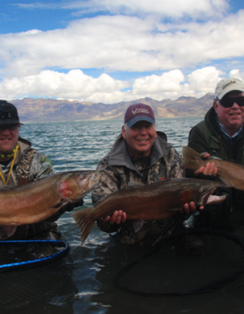 Pyramid Lake Fly Fishing